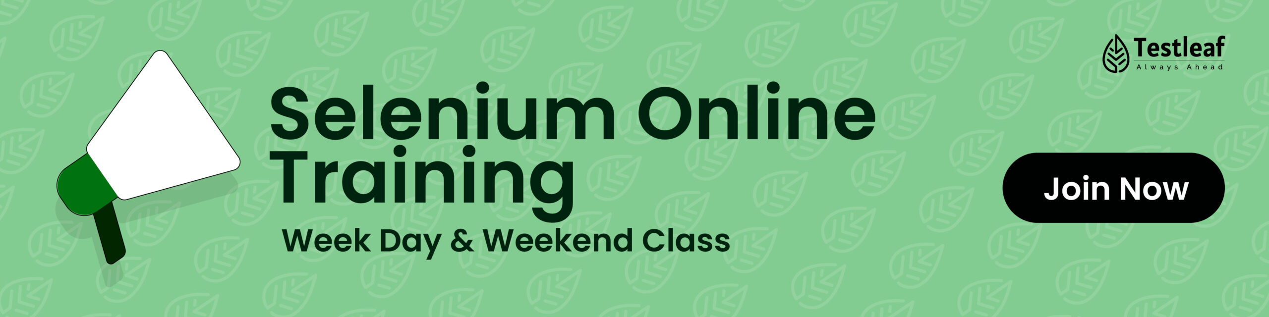 Online Selenium Training